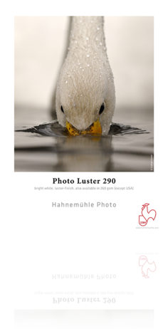 Hahnemühle Photo Luster 290 gsm - Sheets